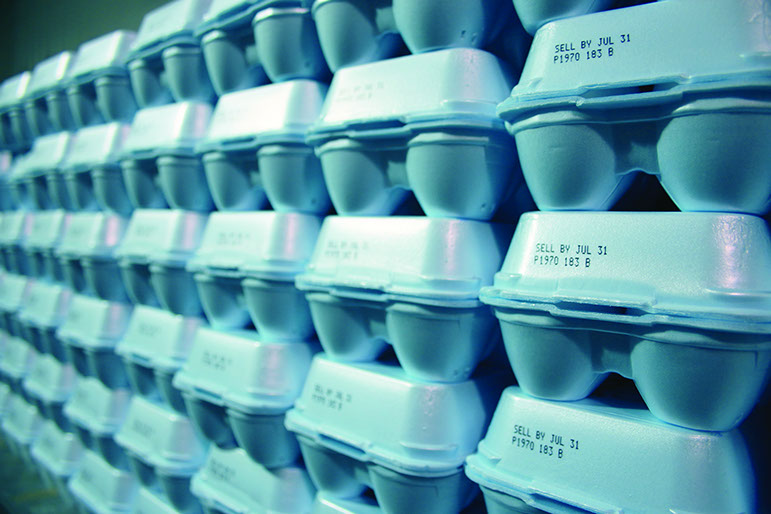 Case Study Giroux's Poultry Farm