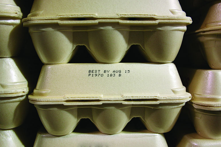 Case Study Giroux's Poultry Farm