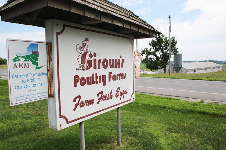 Case Study Giroux's Poultry Farm