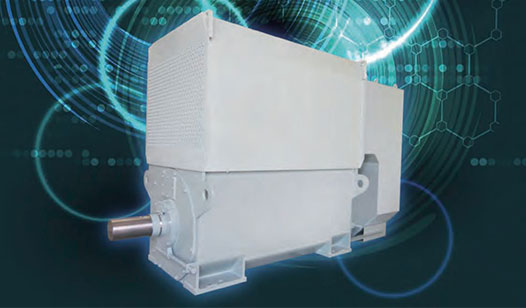 Medium Voltage Motors